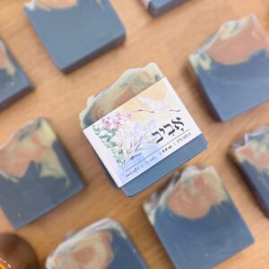 סַבּוֹן אָבִיב