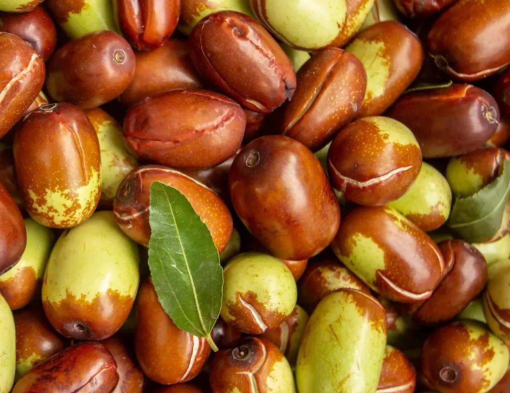 פרי החוחובה, שמן חוחובה, שמן חוחובה לשיער, שמן חוחובה טבעי וטהור, שיער בריא, שיער מבריק, שיער יפה